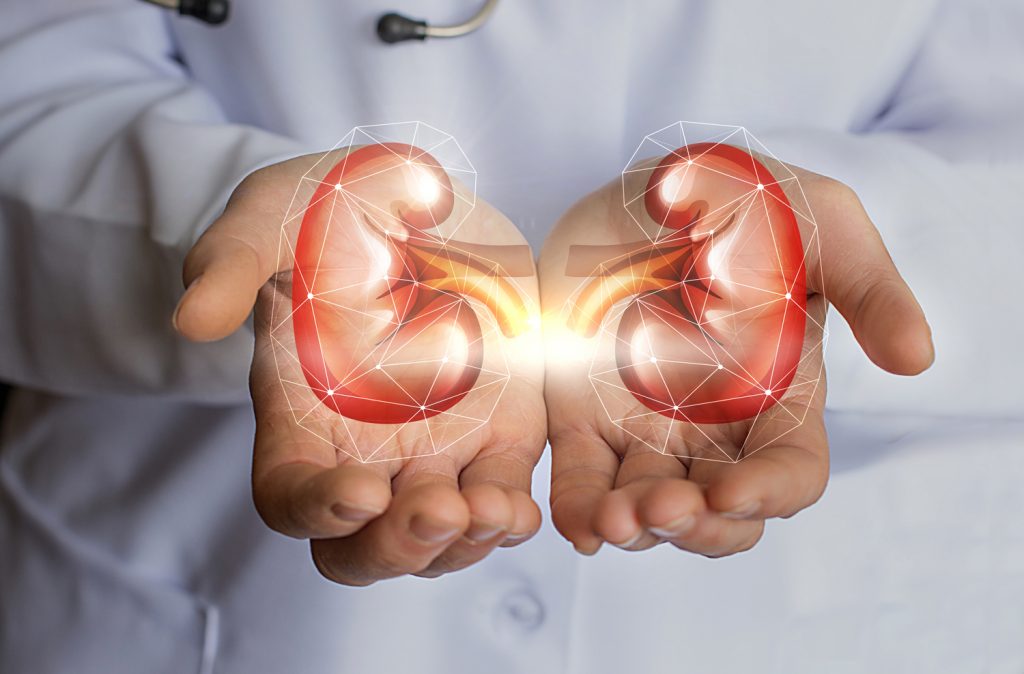 What Is the Difference Between Chronic Kidney Disease and Renal Failure ...