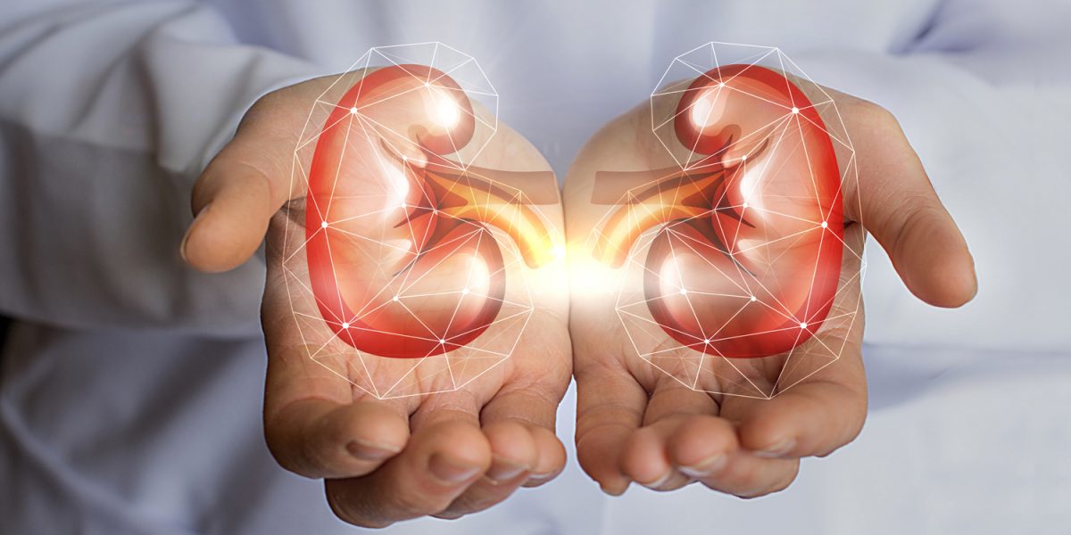 What Is the Difference Between Chronic Kidney Disease and Renal Failure?